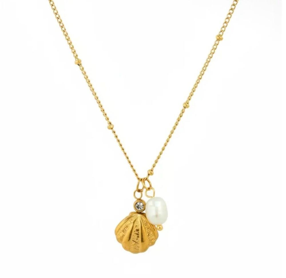 Stainless Scallop Shell Freshwater Pearl Charm Necklace